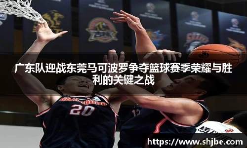 广东队迎战东莞马可波罗争夺篮球赛季荣耀与胜利的关键之战